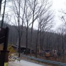 대야산자연휴양림 이미지