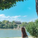 진주 이미지