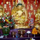 우신정사 이미지