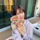 살랑살랑 이미지