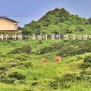종달연대 이미지