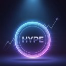 하이프(HYPE)