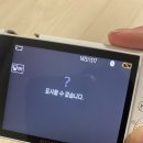 완주카페|카페 애드리브 /애견카페 대형카페 후기와 sony카메라 사진 오류를 곁들인…