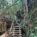 숲내음공원 이미지