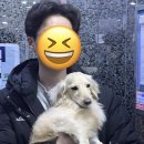 페츠비 동물병원 | [페츠비동물병원] 김해 장유 동물병원