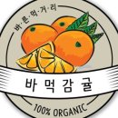 감귤바
