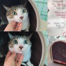 남경북약국 이미지