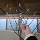 (주)안성목장 | 가족 나들이 가기 좋은 곳 추천, 아이들이 좋아하는 안성팜랜드