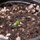 럭셔리호프 이미지