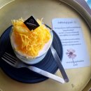 두월농장 | 태국 치앙라이 깔끔하고 프라이빗 수영장이 좋았던 숙소 &lt;Doowall Hotel 두월 호텔&gt;