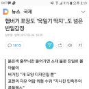 이 기레기는 일본 출신인듯. 이미지