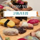 양도로 | 광화문 맛집 스시ㅣ맛도 양도 베스트! 코끼리초밥 방문 후기