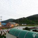 고대도6 이미지