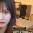 에이투지(A to Z) | [내돈내산] 하파크리스틴 A to Z 에이투지 13.6 후기 / 브라운 렌즈 추천