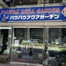 파우파우 | 도쿄 수족관 중에서도 물생활러라면 반할 긴자 가볼만한곳, 파우파우 수족관