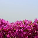 백양산 애진봉 이미지