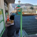 하단초등학교 이미지