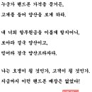 콩마루떡집