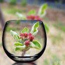 영구네농장 이미지