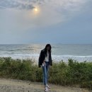 [데일리룩 모음집] - 일상 코디, 데일리룩, 여행룩, 데이트룩, 무난룩, 베이직 아이템, 기본 아이템 옷...
