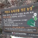 근모농장 네이버블로그
