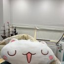 886 | 예비신부관리 강남 압구정 루나의원 잡티 기미 루비레이저 886방 내돈내산 후기