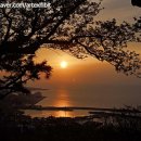 사라봉한의원 이미지