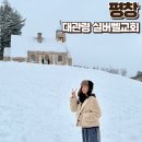 푸른교회 | 평창 실버벨교회 대관령 포토존 여름 겨울 비교 맛집 눈썰매