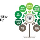 동탄플러스약국 이미지