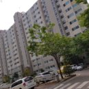 배양초교앞 이미지