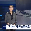 파이스 이미지