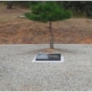 남원장묘나라 이미지