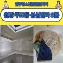 고양시 주교동빌라, 이사청소 잘하는곳