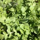 참새골약수터 이미지