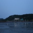 캠프밤 이미지