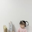 토틀러 유치원