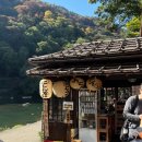 몽글몽글여니떡 | [교토] 인디고트래블 교토투어 | ②아라시야마 도게츠교🌿 (코스추천, 마리트 할인코드)
