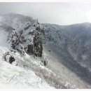 3월2일(2박3일)제주도 한라산 눈꽃산행 이미지