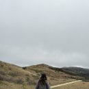 레이크캠핑장 | 여행, 케이브 스트림, 캐슬힐, 테카포호수, 선한 목자의 교회, 레이크엣지 캠핑장 후기, 별자리 어플 추천