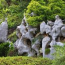 화수목
