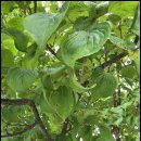 느릅농장 | 남자 정력 영양제 꼭 챙겨야 하는 이유는