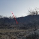 상천리보건진료소 이미지