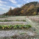 반디장터 이미지