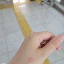 복대1동 행정복지센터 네이버블로그