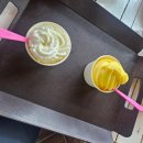 고남면사무소 | [충남 태안군] 아이와 함께 안면도 미로공원 바람아래관광농원