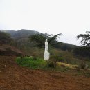 신광목장 이미지