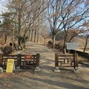 구계천 Daum카페