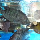 무태낚시터 이미지