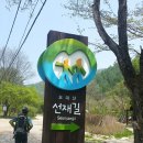 수억힐링숲