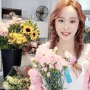 헤이듀드 이미지